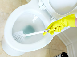 ��� ��������� ������